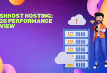 WishHost.net Hosting Review (2026) – What I Learned Using It for Client Projects